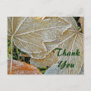 Search for frozen thank you Nature