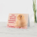 Search for spring chicken birthday cards Over the hill