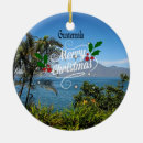 Search for guatemala christmas tree decorations Nature