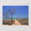 Search for sea monkey Tree