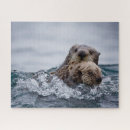 Search for sea otter puzzles Animals in the wild