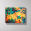 Search for seashell canvas prints Beach seashells