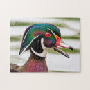 Search for duck puzzles Wildlife