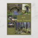 Search for rain forest photography Washington