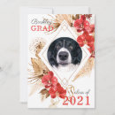 Search for dog training invitations Funny