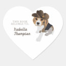 Search for pupppy Pet