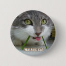 Search for 009 Cat