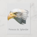 Search for bald eagle birthday cards Freedom