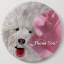 Search for labradoodles badges Cute