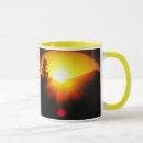 Search for caffine Sunshine