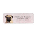 Search for pug dog return address labels Puppy