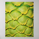 Search for scales patterns posters Green