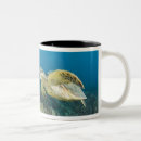 Search for invertebrate mugs Nature
