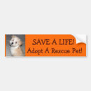 Search for adopt a pet bumper stickers Dog