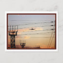 Search for warbird postcards Aeroplane