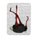 Search for ostrich magnets Animals