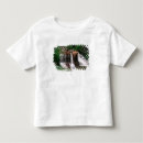 Search for blackwater tshirts Waterfall