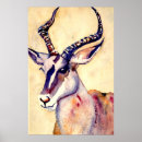 Search for impala posters Africa