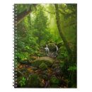 Search for environment notebooks Jungle