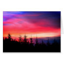 Search for under the tree cards Photograph