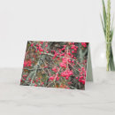 Search for crabapple cards Tree