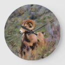 Search for bighorn posters Nature