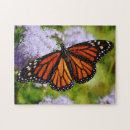 Search for purple butterfly puzzles Insect