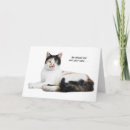 Search for calico cat birthday cards Cute