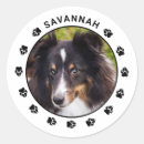 Search for pet name stickers Paws