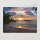 Search for sunset palm postcards Scenic