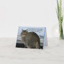Search for cat on a bed postcards Cats