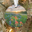 Search for texas bluebonnet christmas tree decorations Springtime