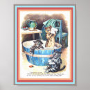 Search for cat bath art Funny cats