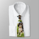 Search for spaniels ties Cavalier king charles