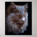 Search for russian blue cat art Animal