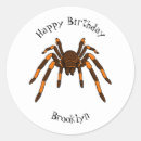 Search for tarantula stickers Arachnid
