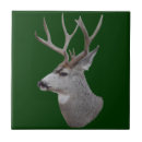Search for mule tiles Deer