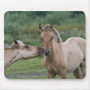 Search for encounters electronics Horse