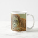 Search for orangutans mugs Zoo