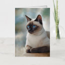 Search for siamese cat art cards Portrait