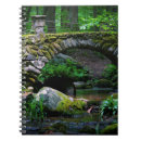 Search for trolls Bridge