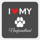 Search for newfoundland dog stickers Puppy
