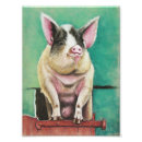 Search for piggy posters Piggies