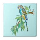Search for australian gifts Bird