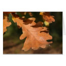 Search for oak leaves cards Fall
