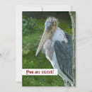 Search for bird portrait invitations Wildlife
