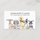 Search for house sitter business cards Veterinarian