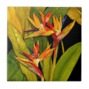 Search for paradise tiles Floral