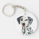 Search for dalmatian key rings Funny