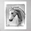 Search for horse heads posters Equine